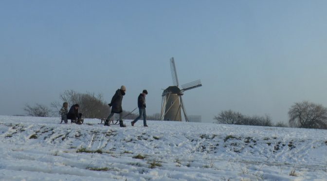 Winter wonderland bij de molen in Hoofddorp [video]